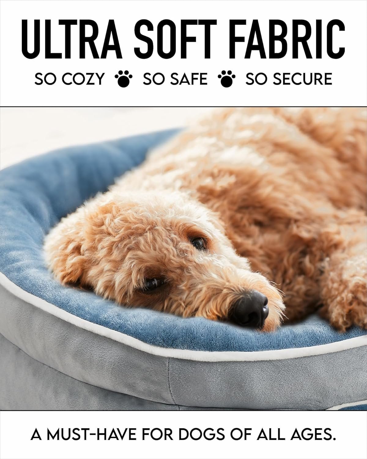 81mmVOoSqZL._AC_SL1500_.jpg 81mmVOoSqZL._AC_SL1500_.jpg