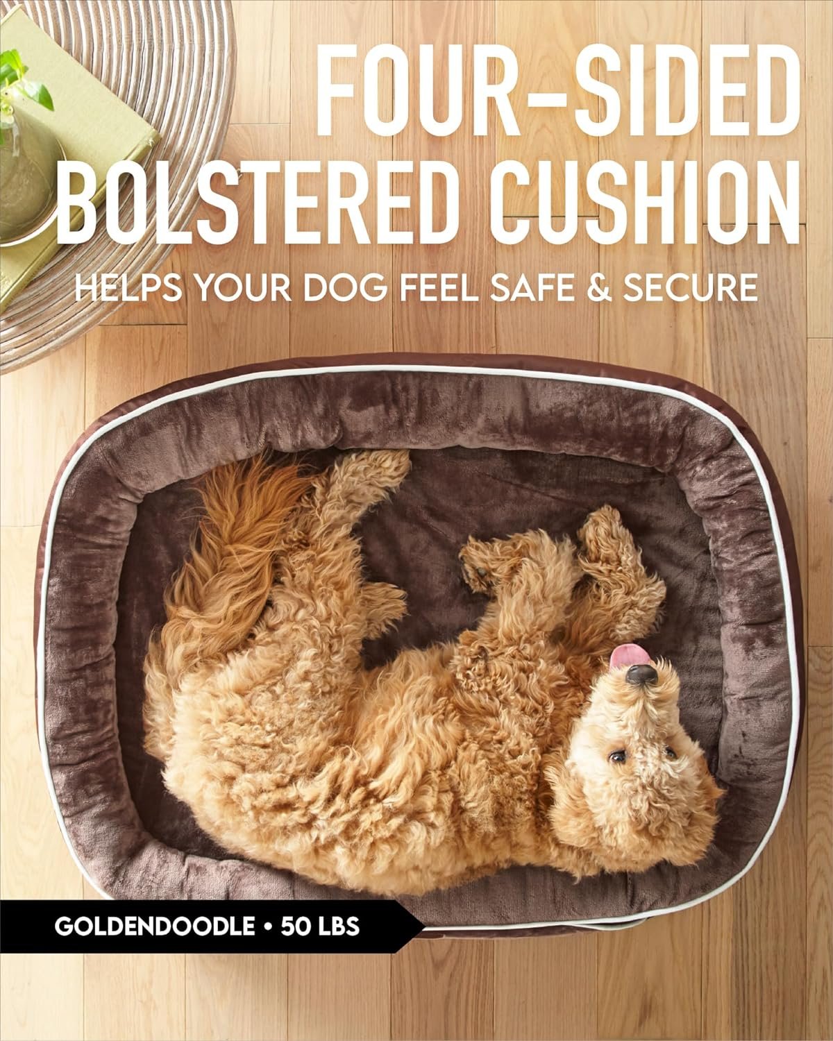 81mrFCcI6kL._AC_SL1500_.jpg 81mrFCcI6kL._AC_SL1500_.jpg