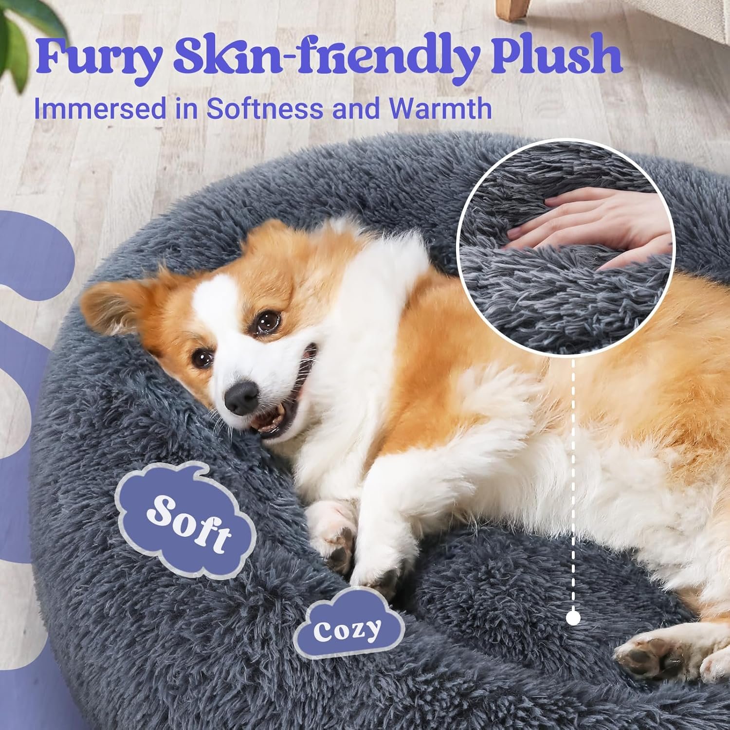 81oIV6S5UeL._AC_SL1500_.jpg 81oIV6S5UeL._AC_SL1500_.jpg