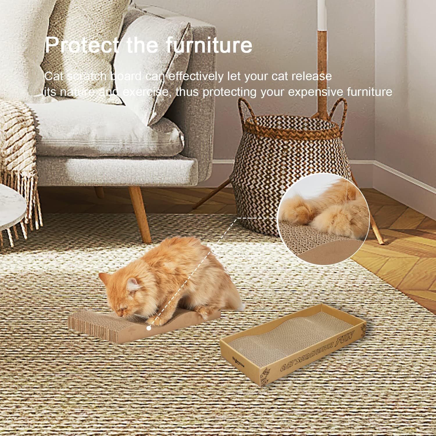 81oeUGZRJeL._AC_SL1500_.jpg 81oeUGZRJeL._AC_SL1500_.jpg