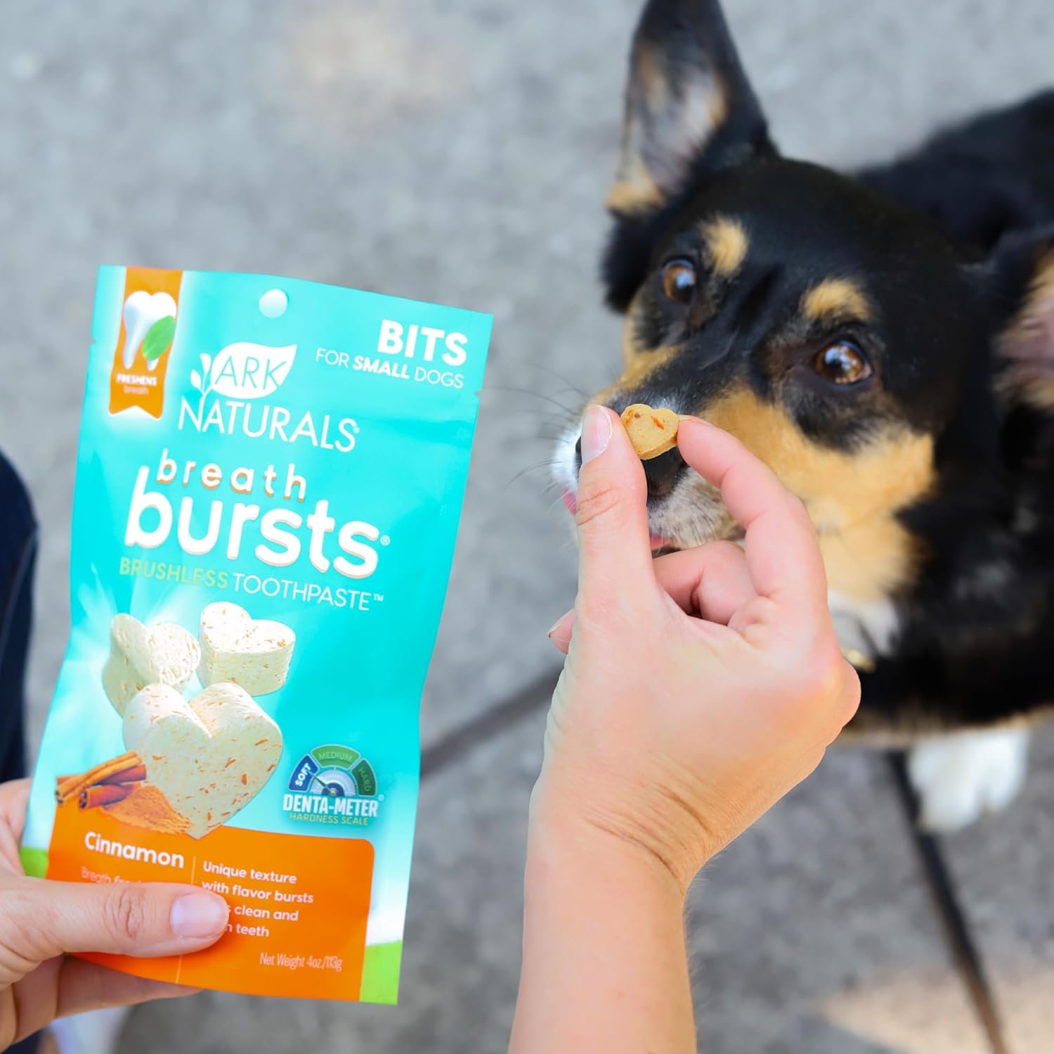 81qpNHM0JFL._AC_SL1500_.jpg 81qpNHM0JFL._AC_SL1500_.jpg