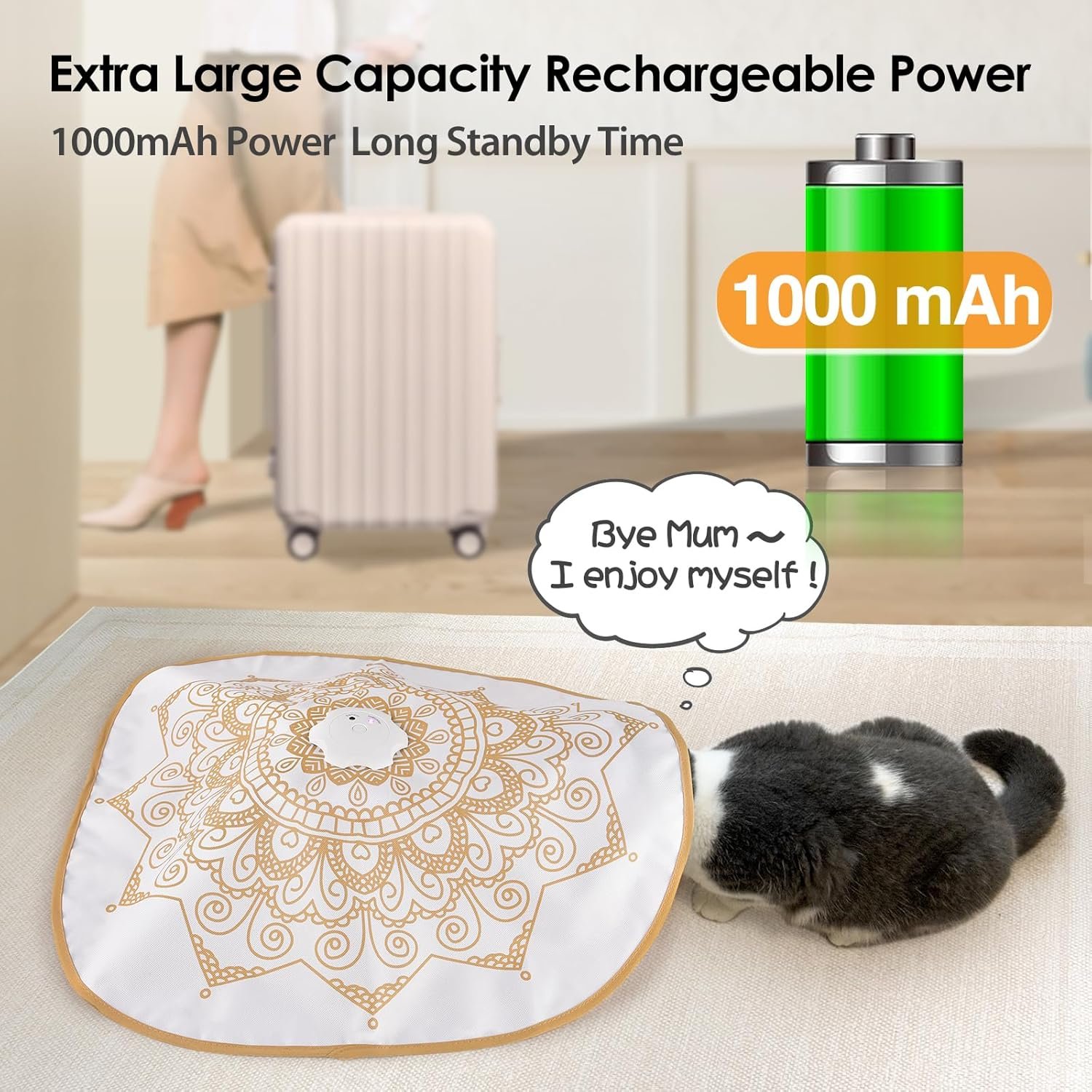 81tBxZdLWSL._AC_SL1500_.jpg 81tBxZdLWSL._AC_SL1500_.jpg