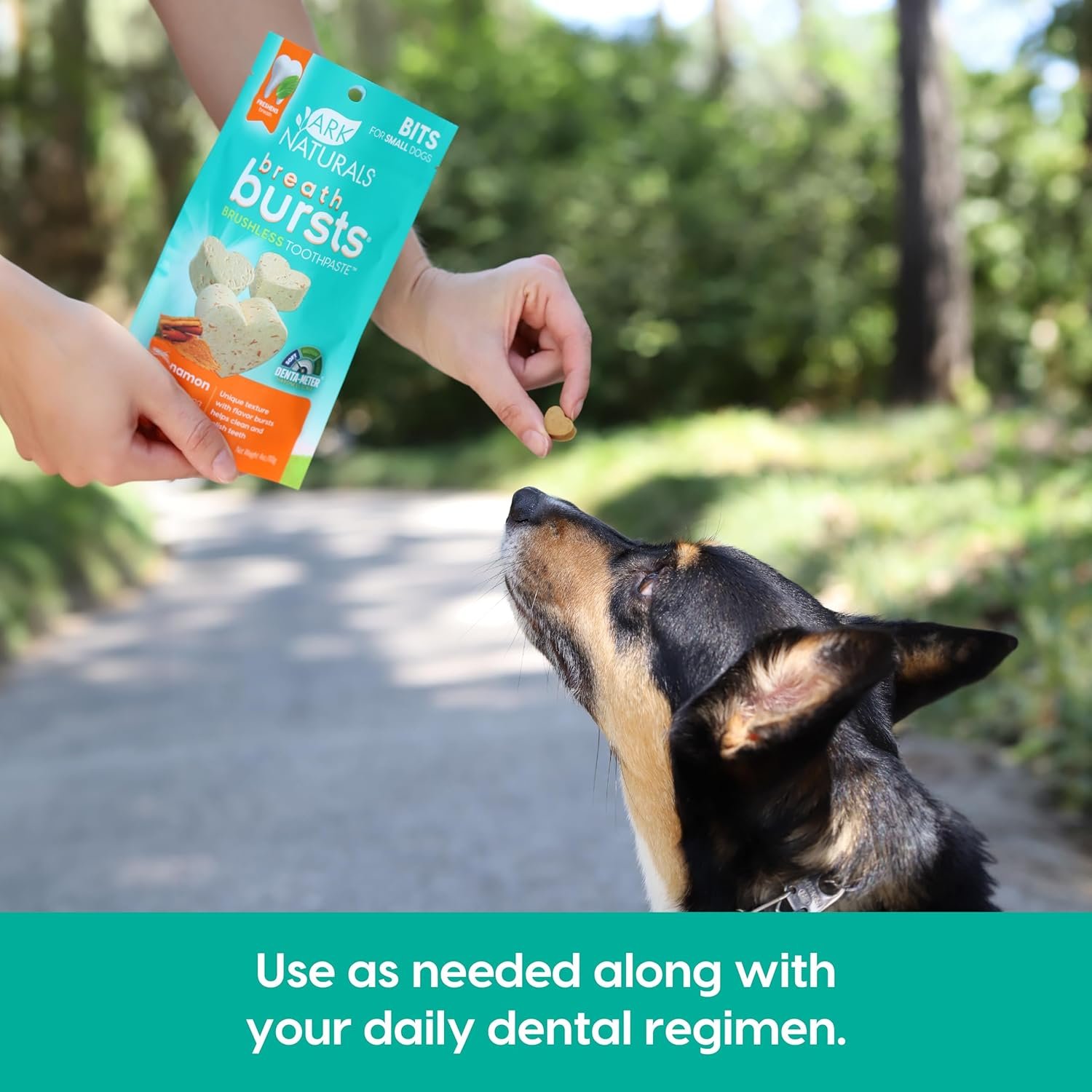 81taLjdLIlL._AC_SL1500_.jpg 81taLjdLIlL._AC_SL1500_.jpg