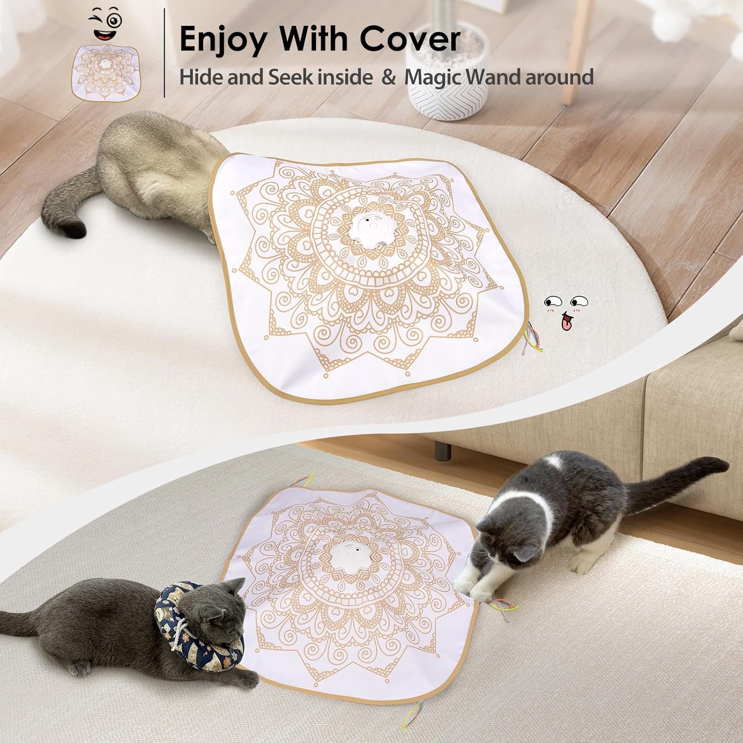 81uZcOmLVyL._AC_SL1500_.jpg 81uZcOmLVyL._AC_SL1500_.jpg