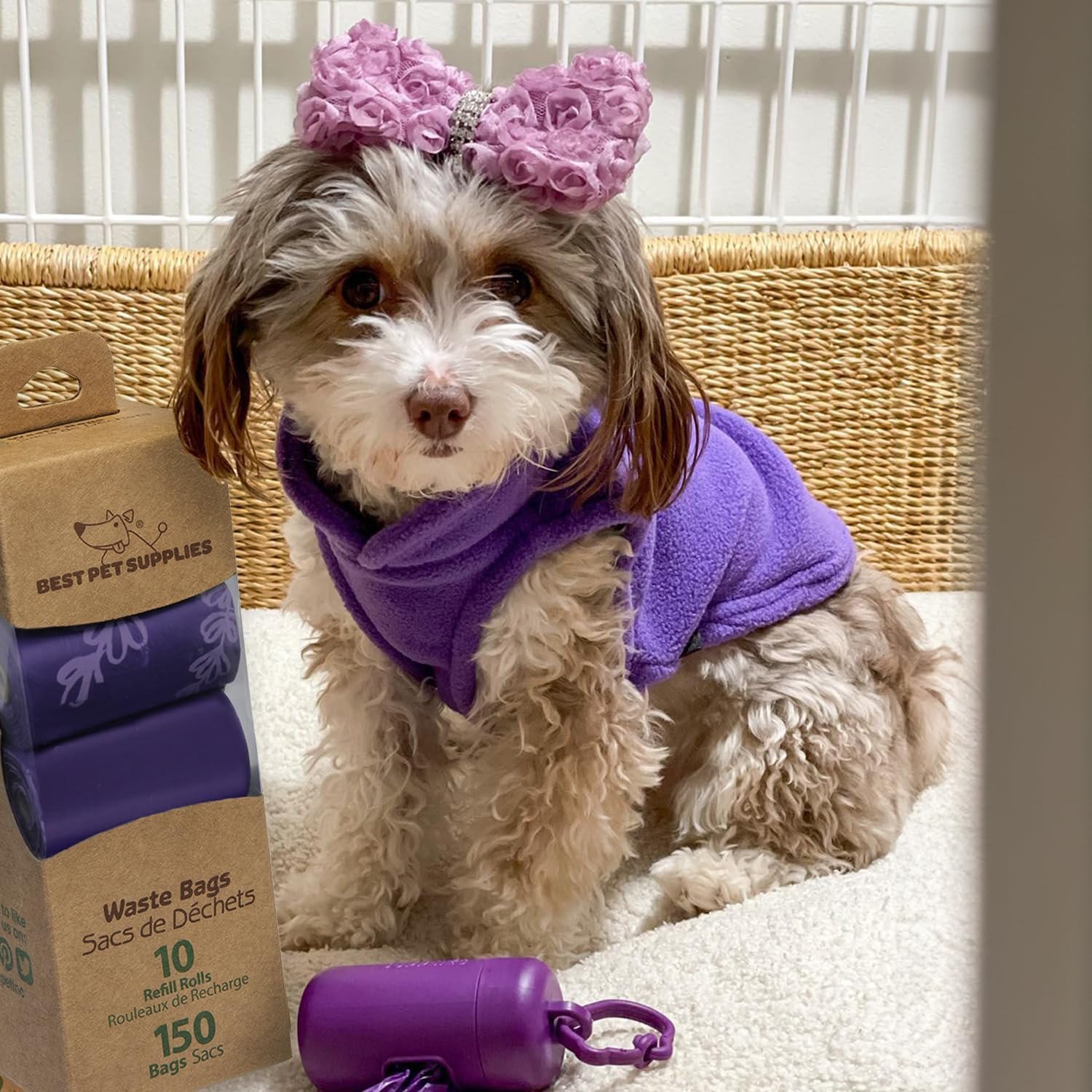 81vQ2tEn2L._AC_SL1500_.jpg 81vQ2tEn2L._AC_SL1500_.jpg