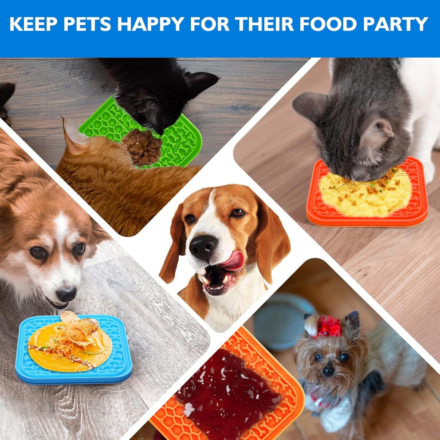 81vtsnpZXQL._AC_SL1500_.jpg 81vtsnpZXQL._AC_SL1500_.jpg