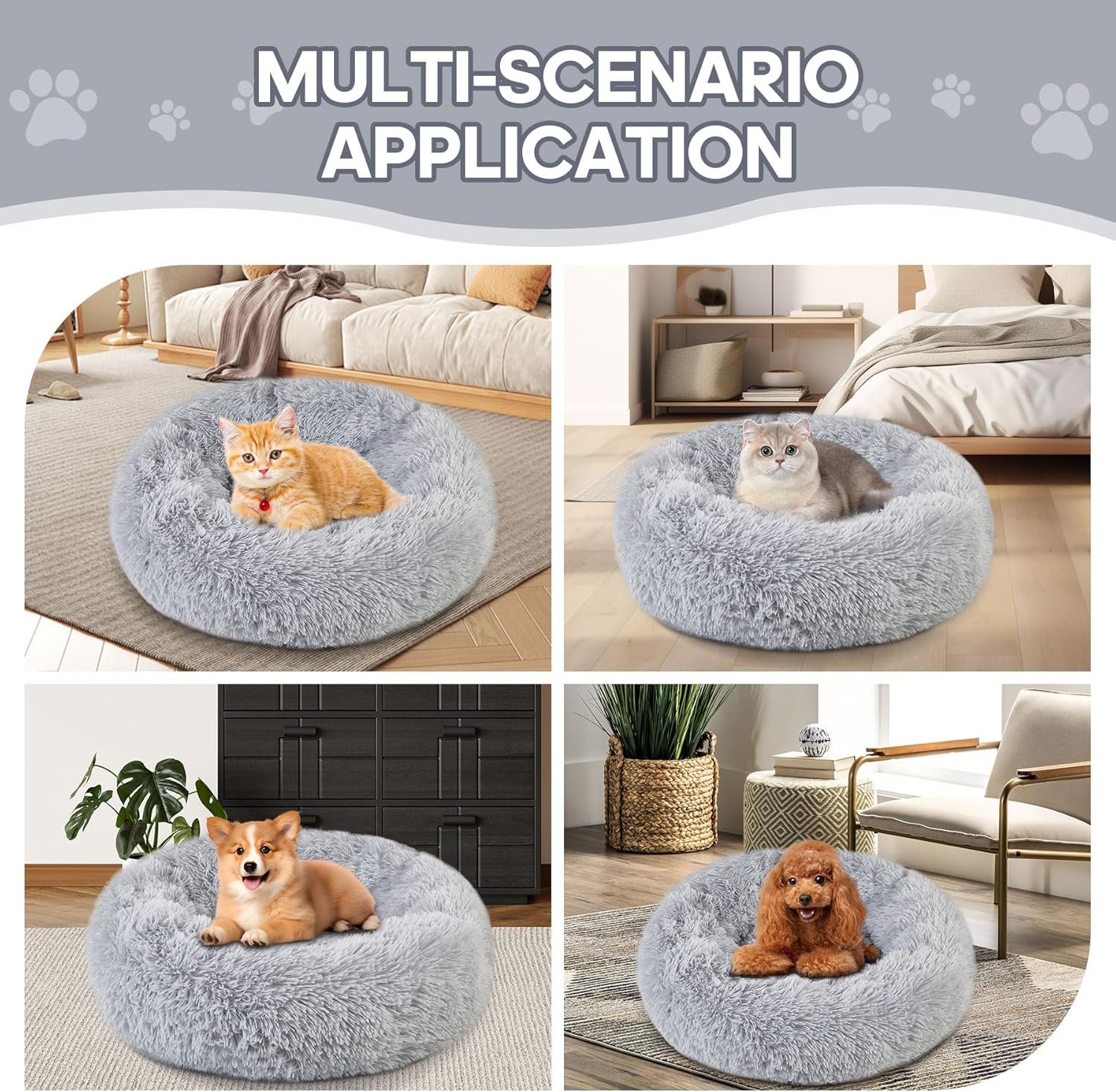 81w8BR5soHL._AC_SL1500_.jpg 81w8BR5soHL._AC_SL1500_.jpg