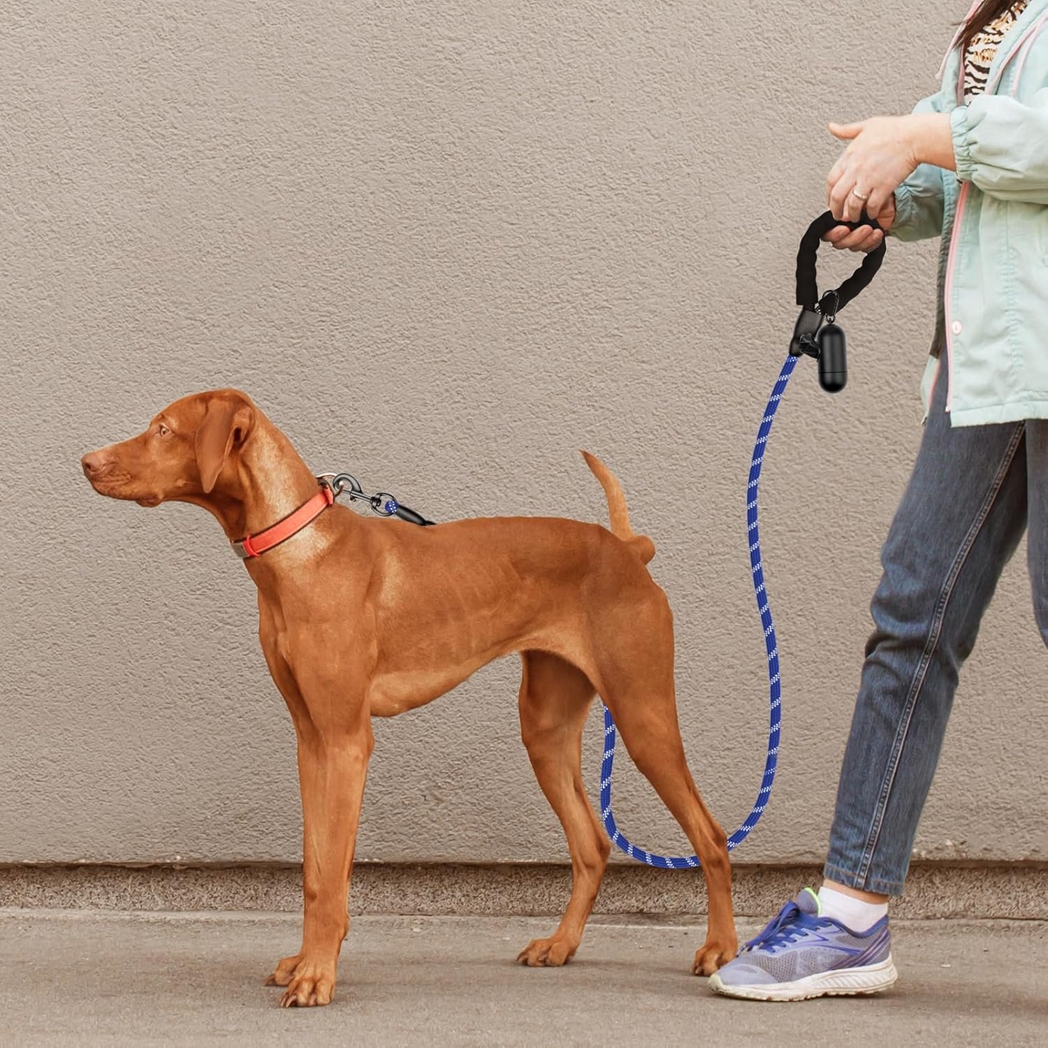 81xuGxcLiDL._AC_SL1500_.jpg 81xuGxcLiDL._AC_SL1500_.jpg