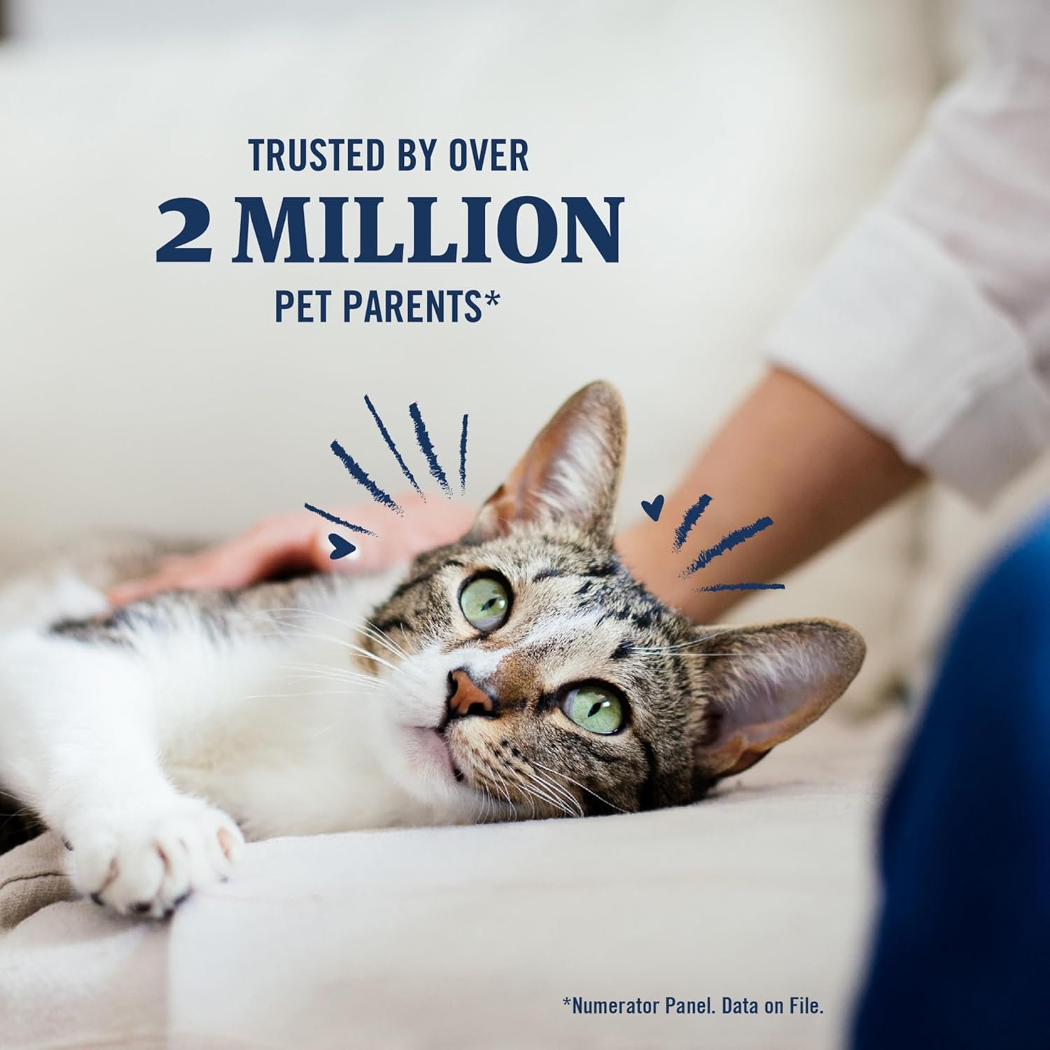 81yiNhJhHL._AC_SL1500_.jpg 81yiNhJhHL._AC_SL1500_.jpg