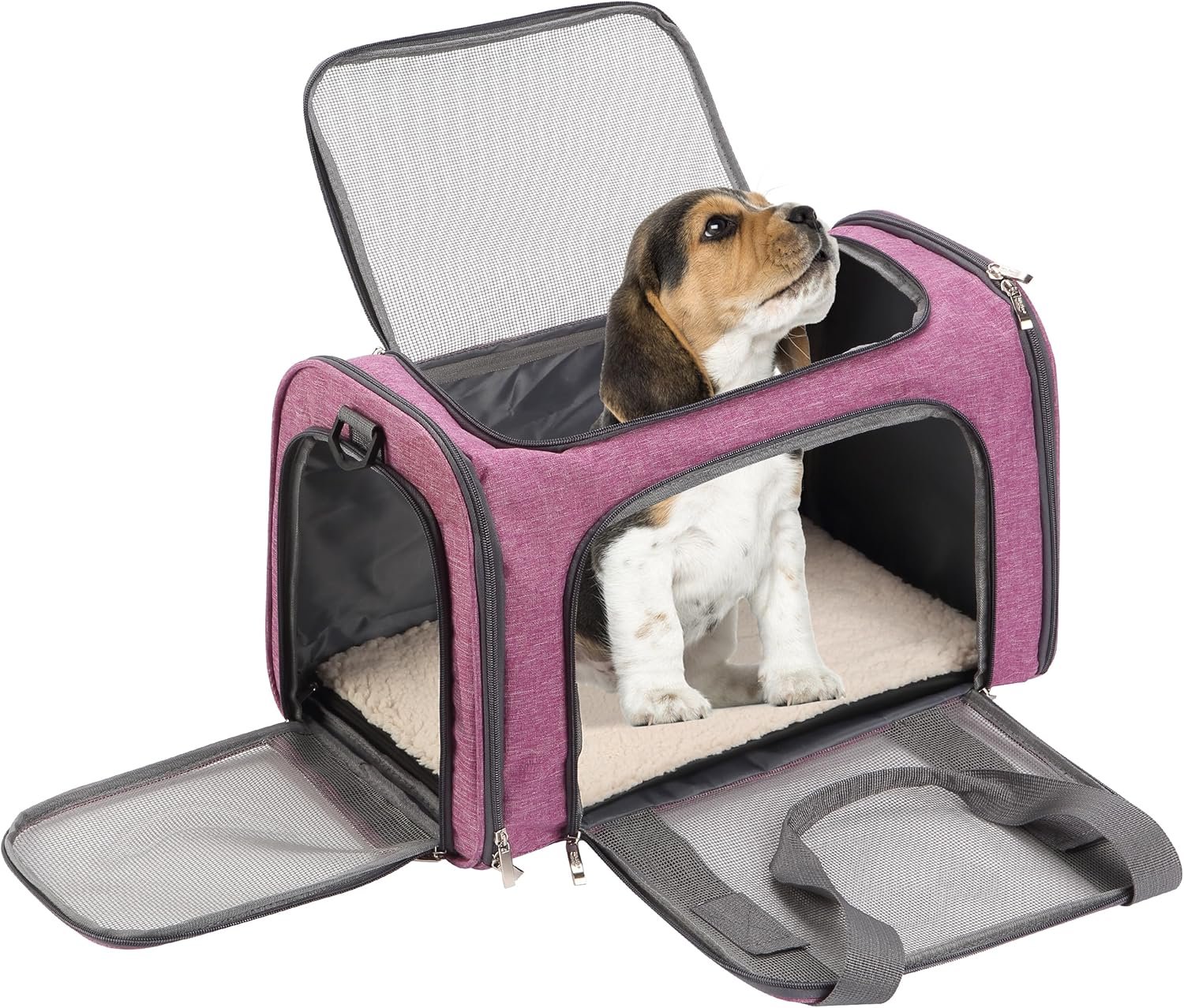 915OqcvxQlL._AC_SL1500_.jpg 915OqcvxQlL._AC_SL1500_.jpg