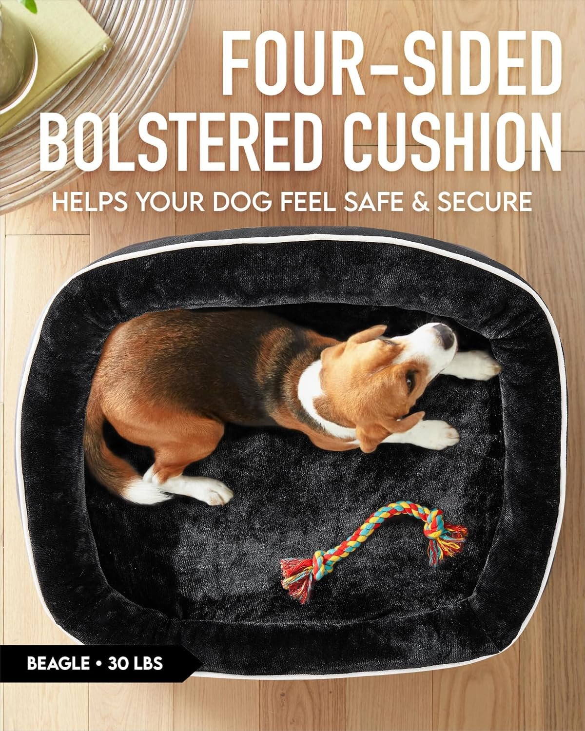 91YBFIJrXXL._AC_SL1500_.jpg 91YBFIJrXXL._AC_SL1500_.jpg