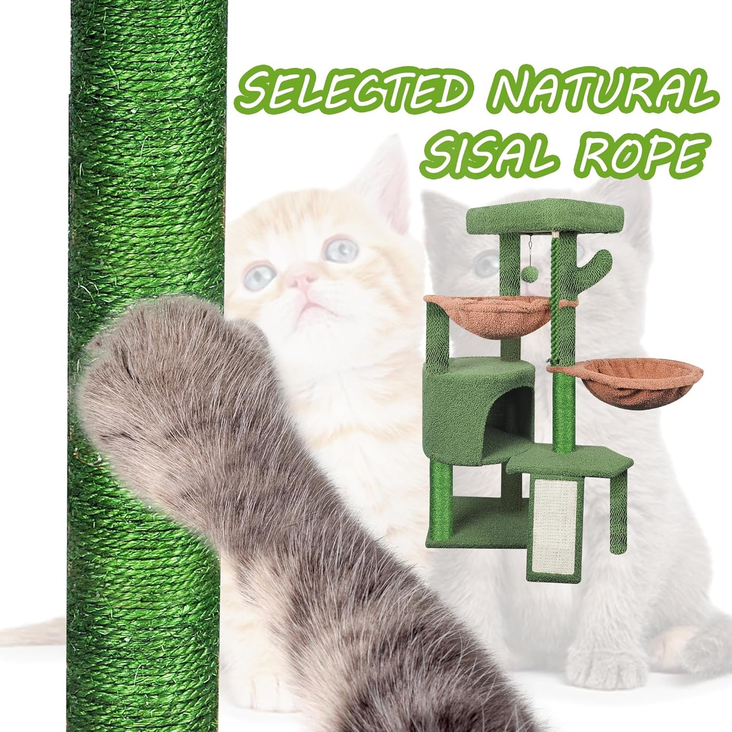 91oDQPOln8L._AC_SL1500_.jpg 91oDQPOln8L._AC_SL1500_.jpg